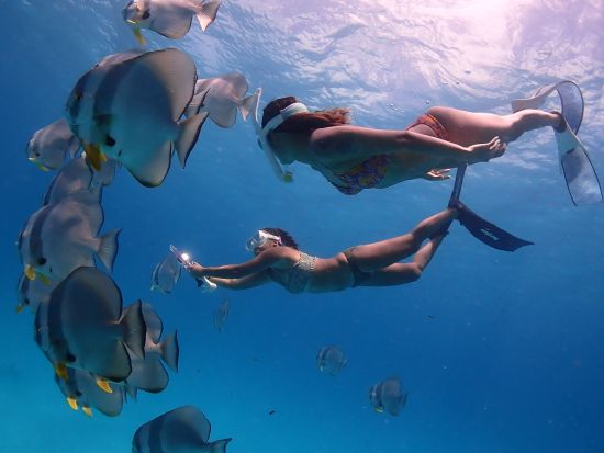 スキンダイビング（素潜り）体験　インスタ映えバッチリの水中写真プレゼント付き！＜少人数制／市街地ホテル送迎無料／石垣島発＞by ファウスト石垣島