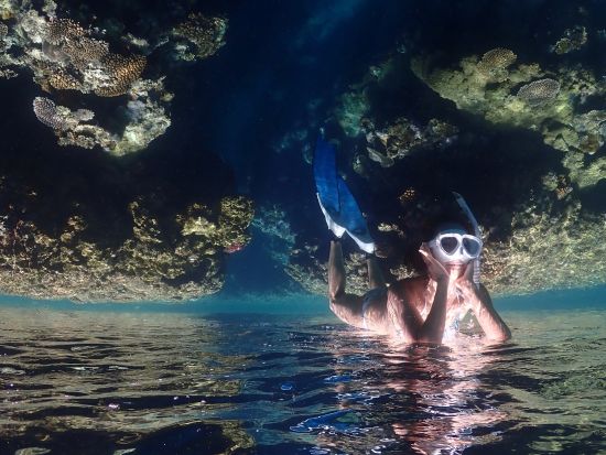 離島スキンダイビング（素潜り）体験 透明度が高い離島の海でダイブ！水中写真プレゼント付き＜少人数制／市街地ホテル送迎無料／石垣島発＞by ファウスト石垣島