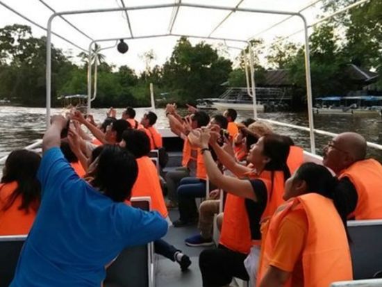 ジャングル・リバークルーズ＆ホタル・ウォッチングツアー　マングローブ探検！日没後の幻想的なホタルの光を見に行こう＜日本語ガイド／午後／夕食付き／コタキナバル発＞