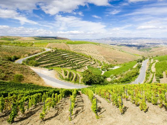 世界遺産ドウロ渓谷＆ポートワイン試飲　日帰りツアー ＜昼食付き／英語ガイド／ポルト発＞by Cityrama