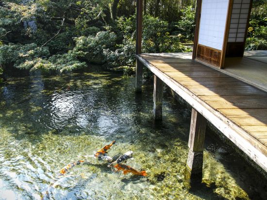 福岡発日帰り長崎・島原ツアー ランチ付しまてつカフェトレイン＋島原城＋長崎カステラランド＋鯉の泳ぐまち散策と湧水庭園 by 西鉄旅行