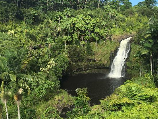 shutterstock_698003257