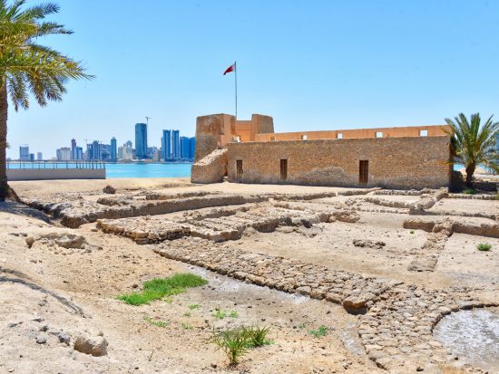 新旧のバーレーンの魅力を知る！バーレーン市内1日プライベート観光＜英語＞
