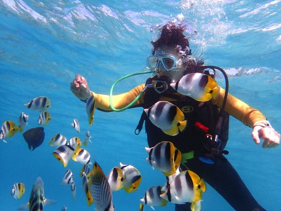 【プライベート】体験ダイビング 日本人女性インストラクター常駐！パラセーリング付きプランあり＜ビーチ／1～2ダイブ＞by 忍者ダイブ