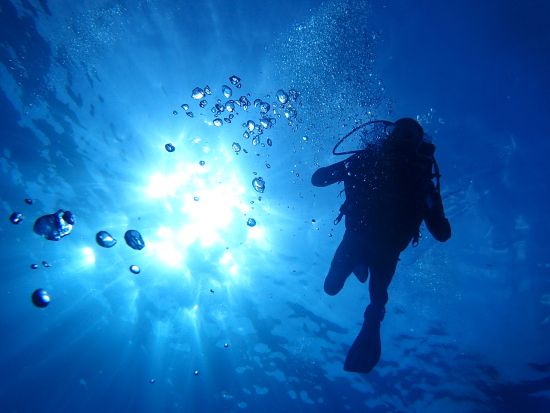 【プライベート】体験ダイビング 日本人女性インストラクター常駐！パラセーリング付きプランあり＜ビーチ／1～2ダイブ＞by 忍者ダイブ