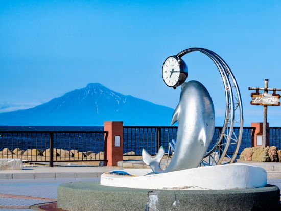 【貸切タクシー】稚内市内＆サロベツコース 北海道本島最北の地をタクシーで快適観光♪ノシャップ岬+寒流水族館+サロベツ原生花園+宗谷岬＜稚内市発／空港お送り＞