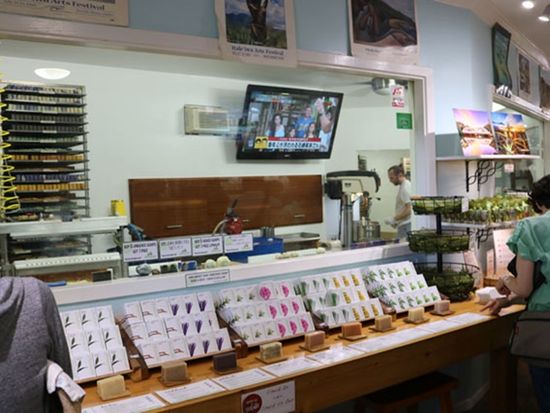 【マイバス】オアフ島一周よくばり観光③