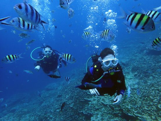 ファンダイビング 日本人女性インストラクター常駐！少人数制！初心者・ブランクダイバー向けプランあり！＜ビーチ or ボート／1～2ダイブ＞by 忍者ダイブ