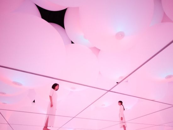 チームラボプラネッツ TOKYO DMM入場チケット＆Tokyo Subway Ticket 24時間券 ～メトロ＆都営地下鉄線が乗り放題～ ＜事前予約＞