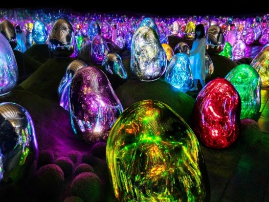 チームラボプラネッツ TOKYO DMM入場チケット＆Tokyo Subway Ticket 24時間券 ～メトロ＆都営地下鉄線が乗り放題～ ＜事前予約＞