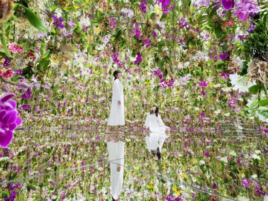 チームラボプラネッツ TOKYO DMM入場チケット＆Tokyo Subway Ticket 24時間券 ～メトロ＆都営地下鉄線が乗り放題～ ＜事前予約＞