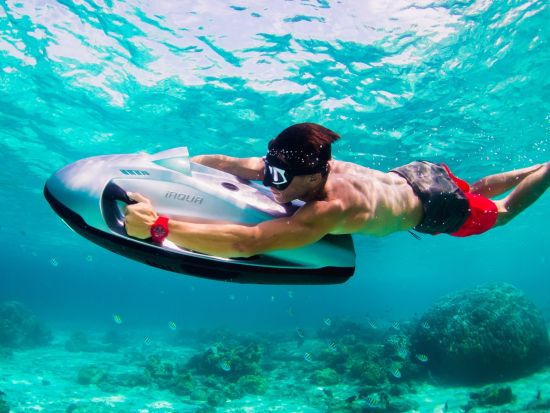 アラビア湾で水中飛行！電動ウォータースクーター「iAQUA」で海中世界を堪能＜英語／ソフィテルドバイザパーム＞