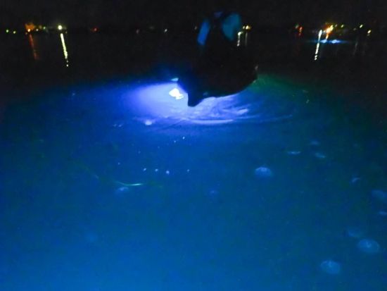 佐渡島 加茂湖　ナイトカヤック体験　船底ライトアップで日本百景の加茂湖の幻想的な景色を楽しむ！＜4～10月＞by サードフィールドさど