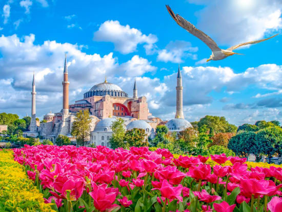 Turkey_Istanbul_Hagia-Sophia_shutterstock_1658008459