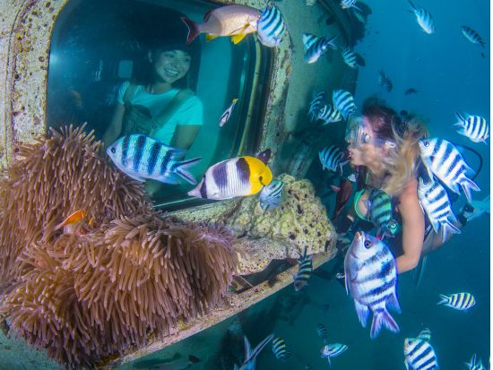 サンセット鑑賞＋海中展望塔入場＋アイランドカルチャーディナーショー＜ディナービュッフェ／送迎付き＞