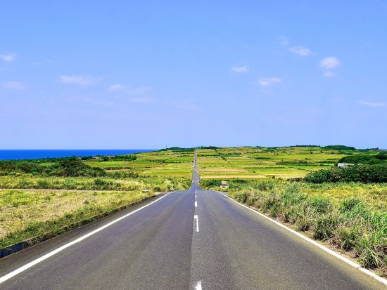 喜界島の絶景と歴史を巡る観光ツアー 源氏・平家と琉球の伝承を辿る 喜界島認定エコツアーガイドがご案内＜島内送迎付き／半日＞