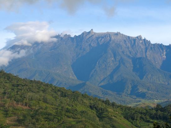 キナバル公園とポーリン温泉1日観光ツアー　キャノピーウォーク体験付き　時季によりラフレシア鑑賞可＜日本語ガイド／1日／マレー料理ランチ付き／コタキナバル発＞