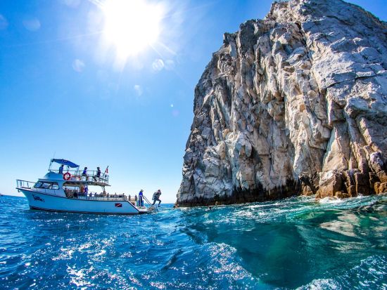 体験ダイビング 海洋生物の多さに息を吞むようなコルテス海へ＜ボート／1ダイブ＞by カボアドベンチャーズ