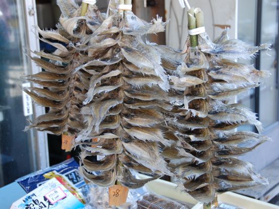 【真浦コース】家島おさんぽツアー 家島を知り尽くしたガイドと魅力あふれる真浦地区をめぐる！お魚屋さんに商店など、島の暮らしを間近に体感＜1時間30分／家島＞