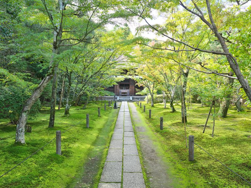 Japan_Kyoto_Ikkyu-ji_pixta_59198603