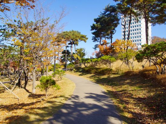 「梨泰院クラス」ロケ地巡り半日ツアー ＜午前／ホテルお迎え付／日本語ガイド＞