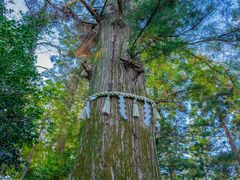 Japan_Tokyo_MtTakao_Takosugi_pixta_60765820_XL