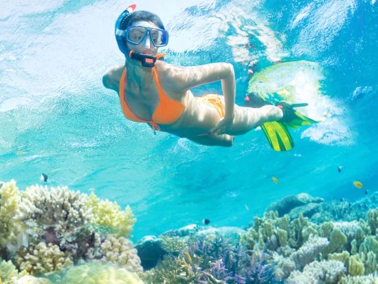 世界遺産フィッツロイ島クルーズ　約2時間のフリータイムでビーチも海遊びも満喫！シュノーケリングやグラスボトムボートなど選べるプラン