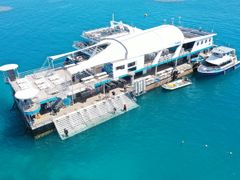 DJI_0462