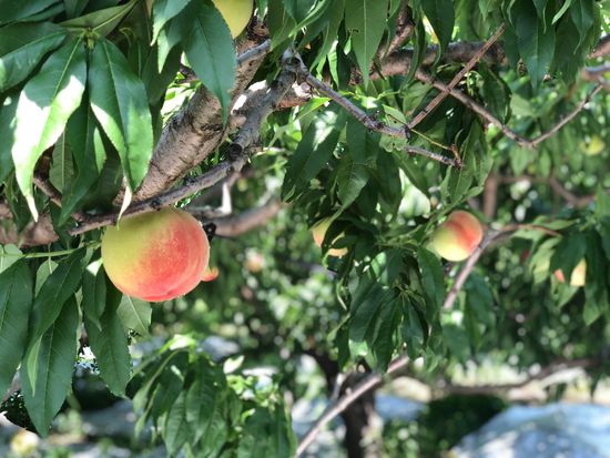 287877338_1753501658322371_6440478491541543182_n