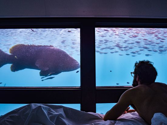 CWS Accommodation Reefsuites 44