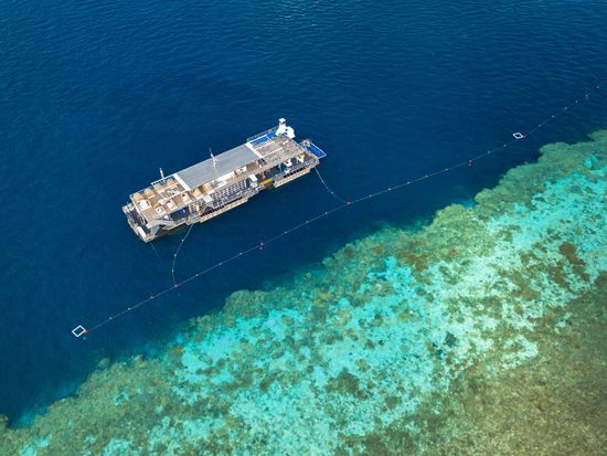 CWS Accommodation Reefsuites 105