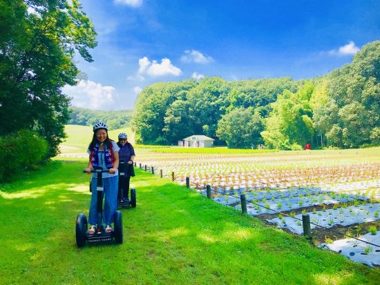 セグウェイツアー　国営武蔵丘陵森林公園の広大なフィールドを巡る！運転講習あり＜ツアー写真データ＆ティータイム付き／午前or午後／2時間半／埼玉＞