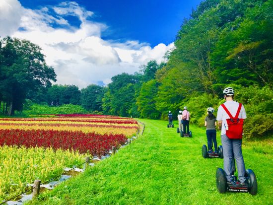 セグウェイツアー　国営武蔵丘陵森林公園の広大なフィールドを巡る！運転講習あり＜ツアー写真データ＆ティータイム付き／午前or午後／2時間半／埼玉＞
