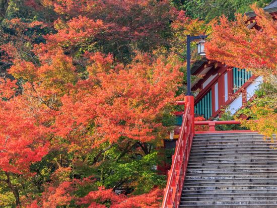 武雄市内発着貸切観光タクシー　祐徳稲荷神社＋肥前浜宿＋HAMA BAR　お酒好きにおすすめ！アレンジOKな鹿島の地酒満喫ツアー＜4時間／最大9名＞