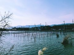 内湖 (3)