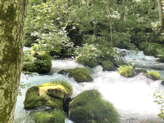 奥入瀬渓流ウォーキングツアー 十和田八幡平国立公園内石ヶ戸～雲井の滝 散策　初心者にもおすすめの地元ガイドと一緒に散策コース！＜十和田市＞by 4-Ride