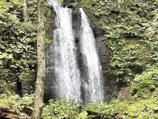 奥入瀬渓流ウォーキングツアー 十和田八幡平国立公園内石ヶ戸～雲井の滝 散策　初心者にもおすすめの地元ガイドと一緒に散策コース！＜十和田市＞by 4-Ride