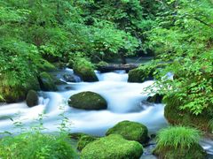 pixta_57209937_M