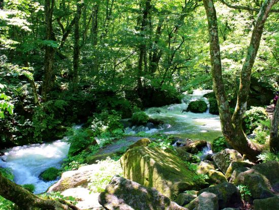 奥入瀬渓流ウォーキングツアー 十和田八幡平国立公園内石ヶ戸～雲井の滝 散策　初心者にもおすすめの地元ガイドと一緒に散策コース！＜十和田市＞by 4-Ride