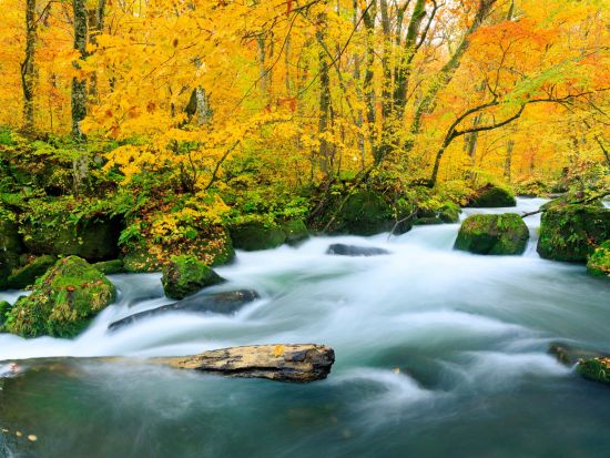 奥入瀬渓流ウォーキングツアー 十和田八幡平国立公園内石ヶ戸～雲井の滝 散策　初心者にもおすすめの地元ガイドと一緒に散策コース！＜十和田市＞by 4-Ride