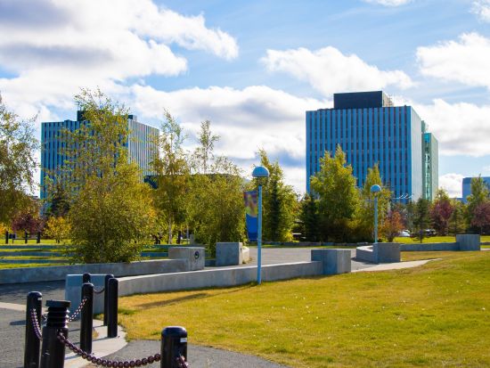 イエローナイフ　さくっと2時間 市内観光ツアー ＜8～4月／日本語または英語ガイド＞