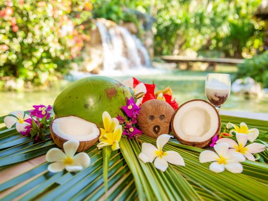 海中展望塔見学＋ココナッツ体験ツアー　うれしいランチ付きプランも！＜送迎オプションあり＞by フィッシュアイマリンパーク