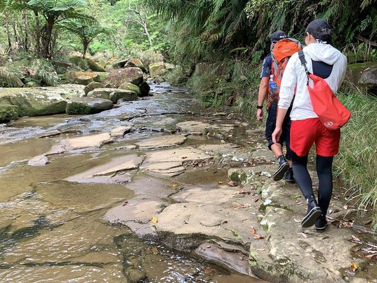 EE63FB23-19E7-455F-A08B-5B6232C54714