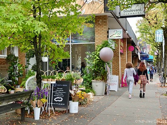 Kitsilano-Leis-de-Buds-600