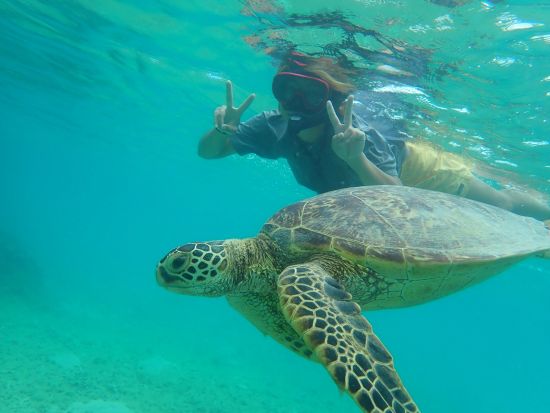 イダの浜シーカヤックツアー　1日1組限定！シュノーケリングも楽しめるプライベートツアー＜貸切／お弁当付／写真データ付／上原港または西表島内ホテル無料送迎＞