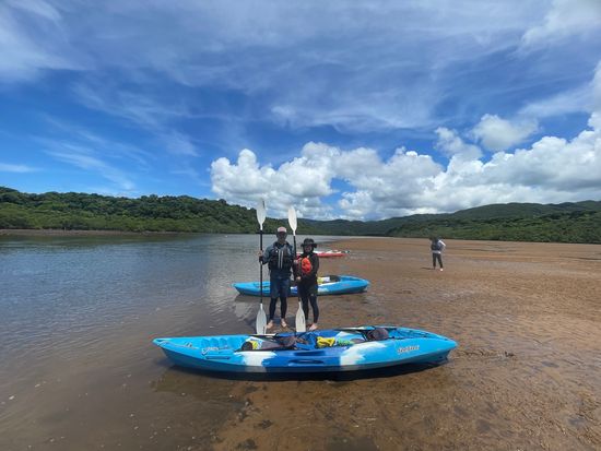 0D20E5F7-3617-419A-B81A-3051C5E1A437