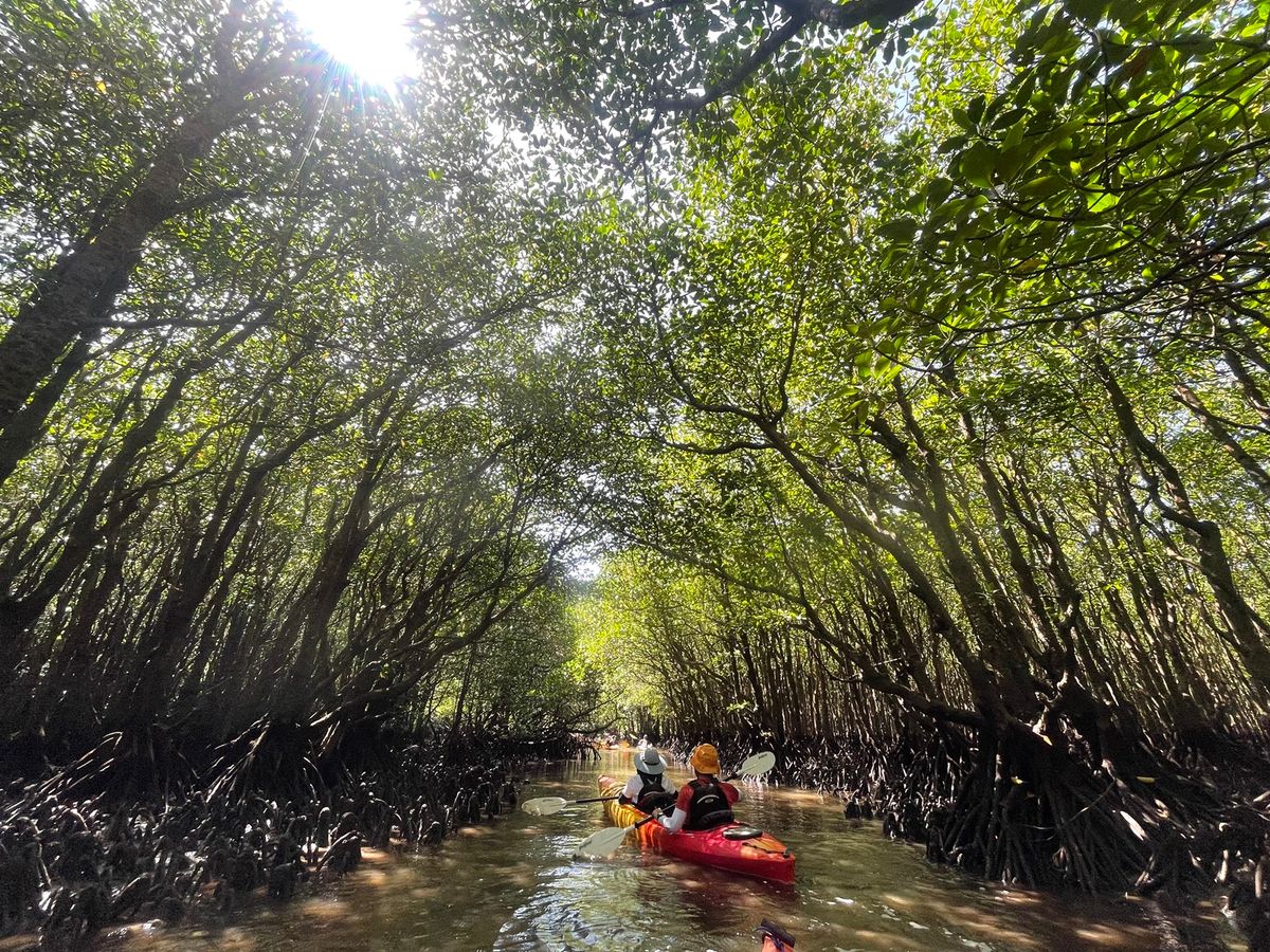 20220720025349_790183141_15990