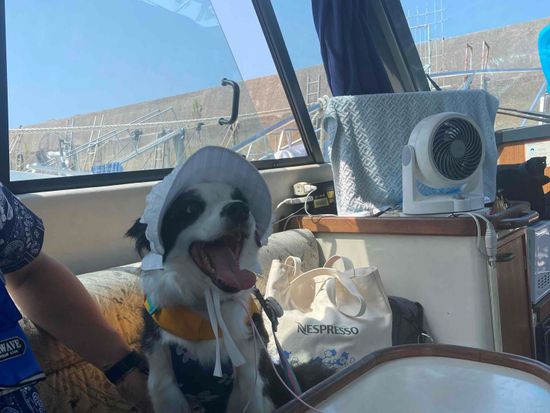 クルーズ船内で 2