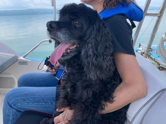 気持ちいいですよ_！