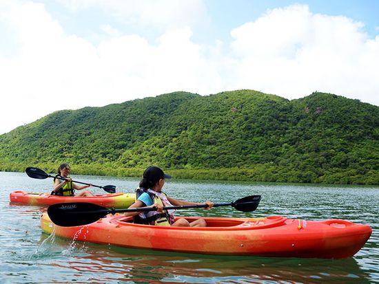 mangrove-kayak4